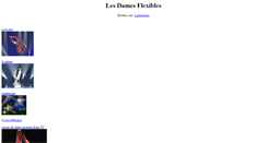 Desktop Screenshot of lesdamesflexibles.com